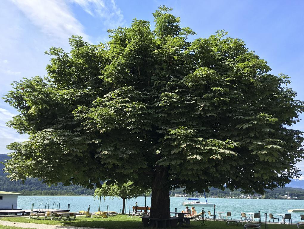 Strandhotel Kaerntnerhof Pörtschach am Wörthersee Buitenkant foto